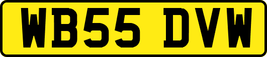 WB55DVW