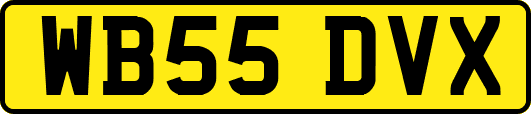 WB55DVX