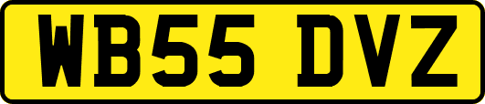 WB55DVZ