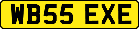 WB55EXE