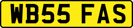 WB55FAS