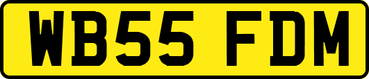 WB55FDM