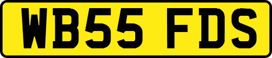 WB55FDS