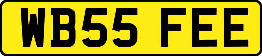 WB55FEE