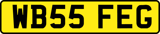 WB55FEG