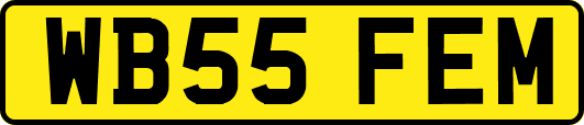 WB55FEM
