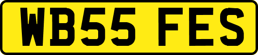 WB55FES