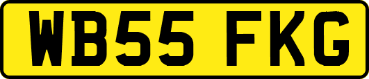 WB55FKG