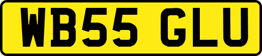 WB55GLU