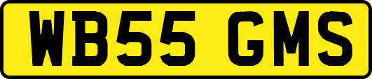 WB55GMS