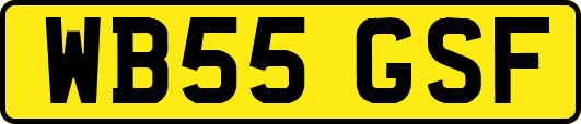 WB55GSF