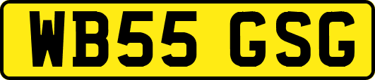 WB55GSG