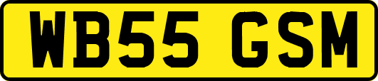 WB55GSM