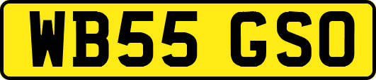 WB55GSO