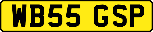 WB55GSP