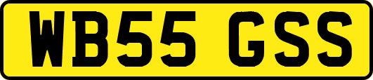 WB55GSS