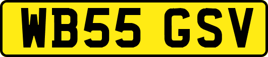 WB55GSV