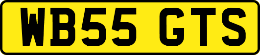 WB55GTS
