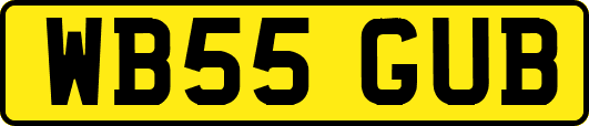 WB55GUB