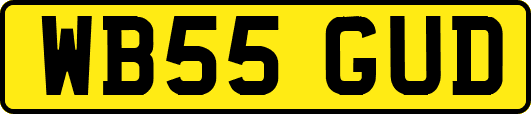 WB55GUD