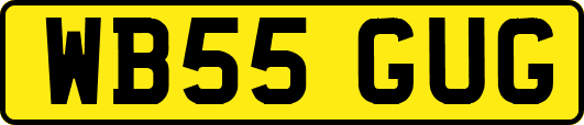 WB55GUG