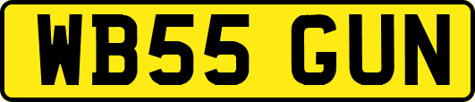 WB55GUN