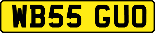 WB55GUO