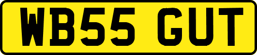 WB55GUT