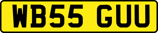 WB55GUU