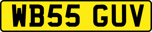 WB55GUV