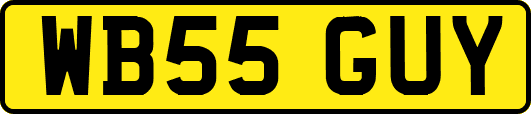 WB55GUY