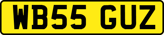WB55GUZ