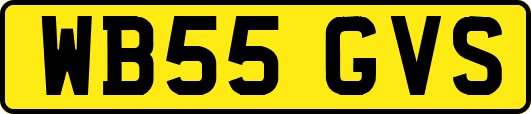 WB55GVS
