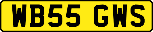 WB55GWS