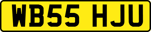 WB55HJU