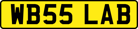 WB55LAB