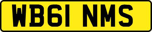 WB61NMS