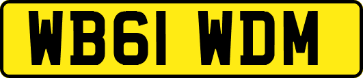 WB61WDM