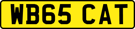 WB65CAT