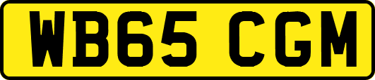 WB65CGM