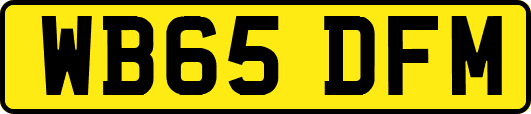 WB65DFM