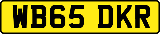 WB65DKR