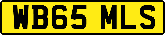 WB65MLS