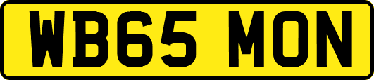 WB65MON