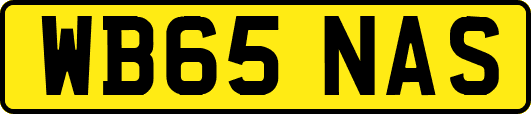 WB65NAS