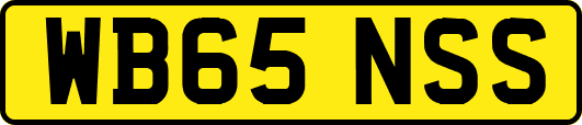 WB65NSS