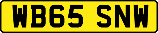 WB65SNW
