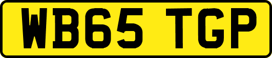 WB65TGP