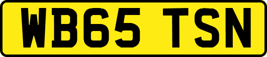 WB65TSN