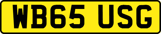 WB65USG